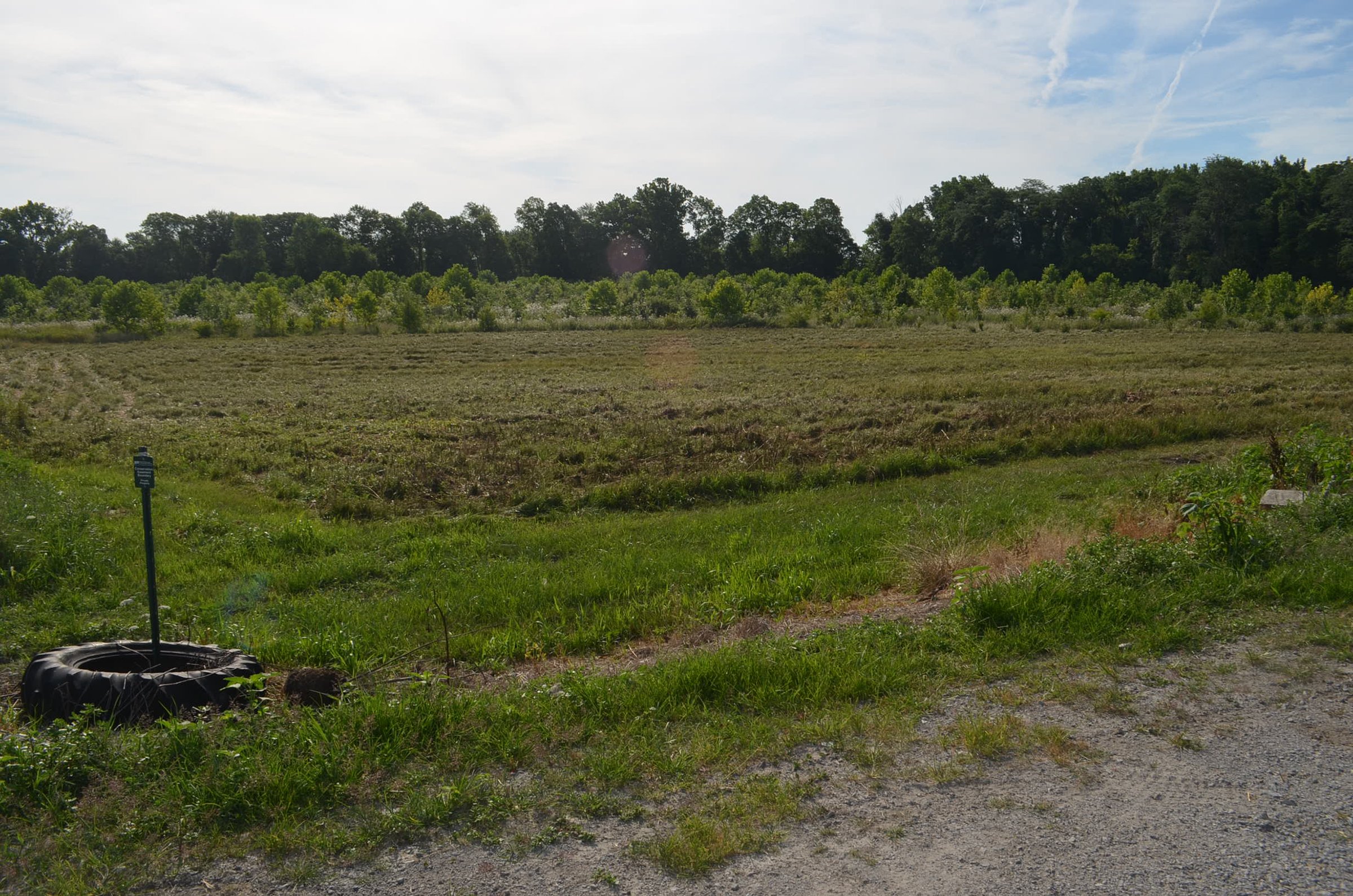Property photo 41 - REAL ESTATE AUCTION - 26+/- ACRES IN 3 TRACTS IN SOUTHWEST ALLEN COUNTY, INDIANA